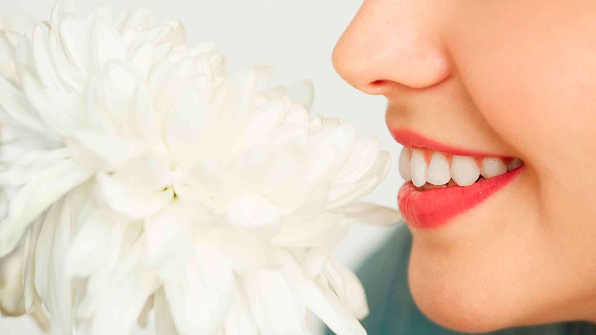 Perfil facial, imagen de la p&aacute;gina original de rinoplastia